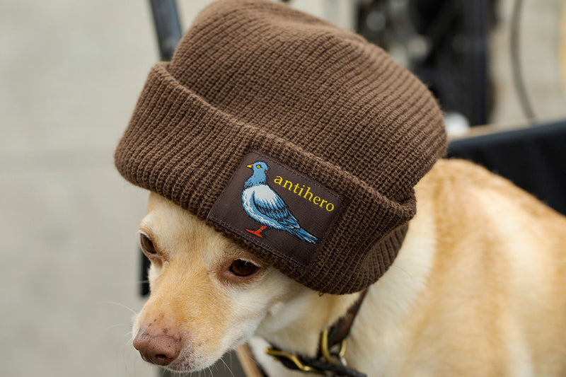 Deluxe Holiday Apparel Arrivals
