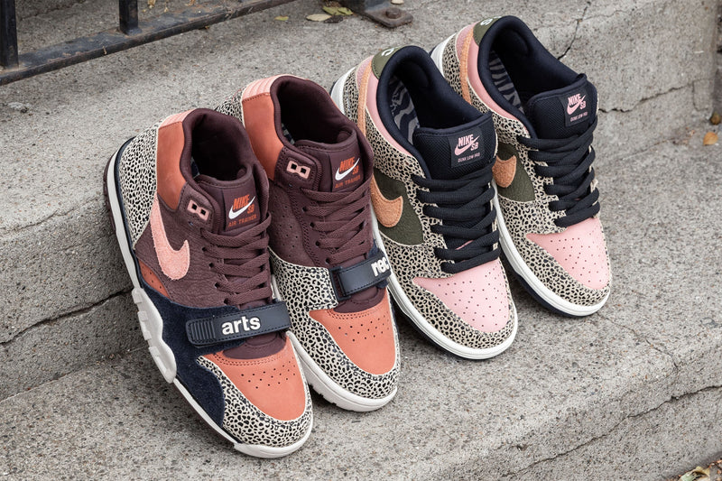 Nike SB X Arts-Rec Dunk Low Pro & Air Trainer 1