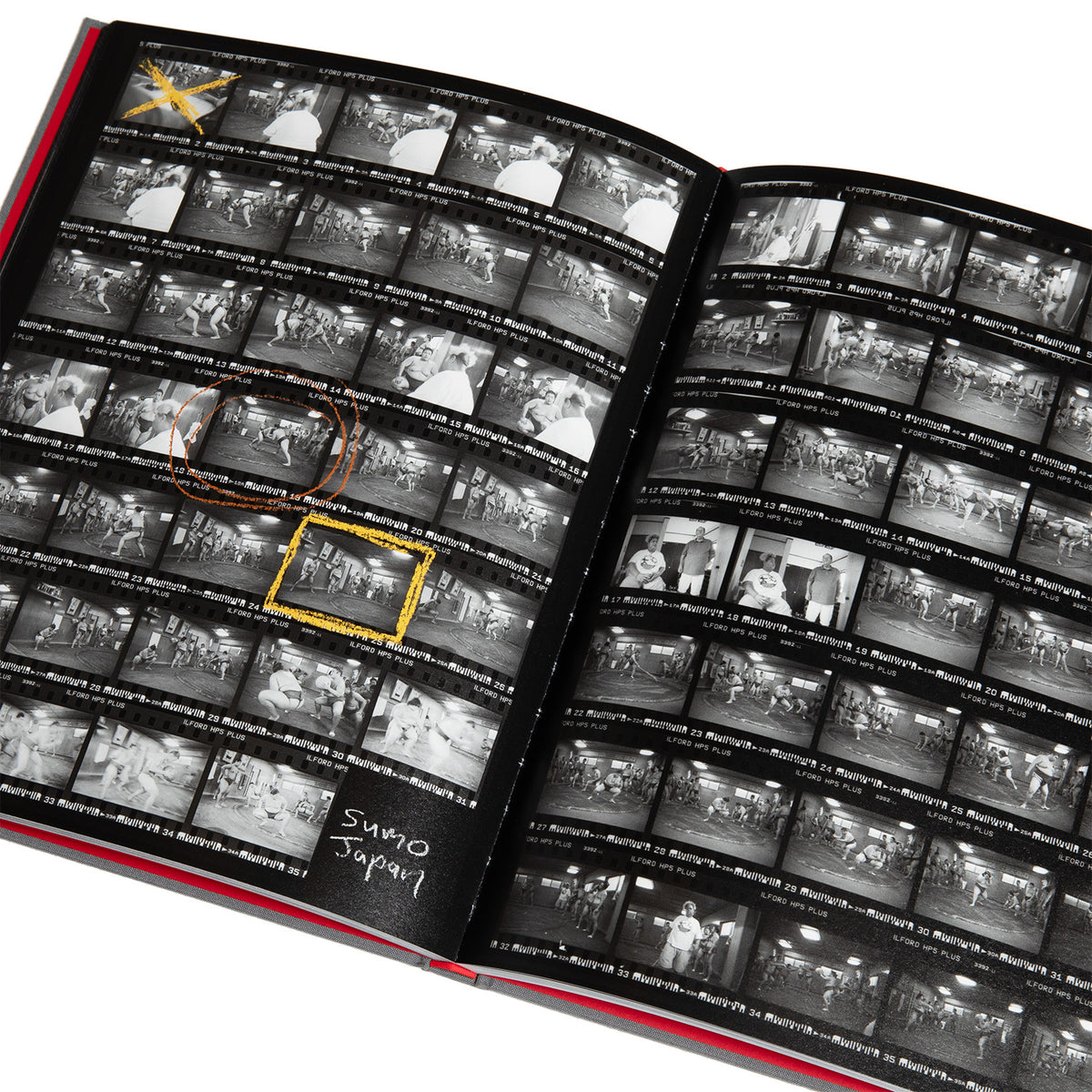 Ray Barbee "The Joy is in Capturing the Journey" Photo Book